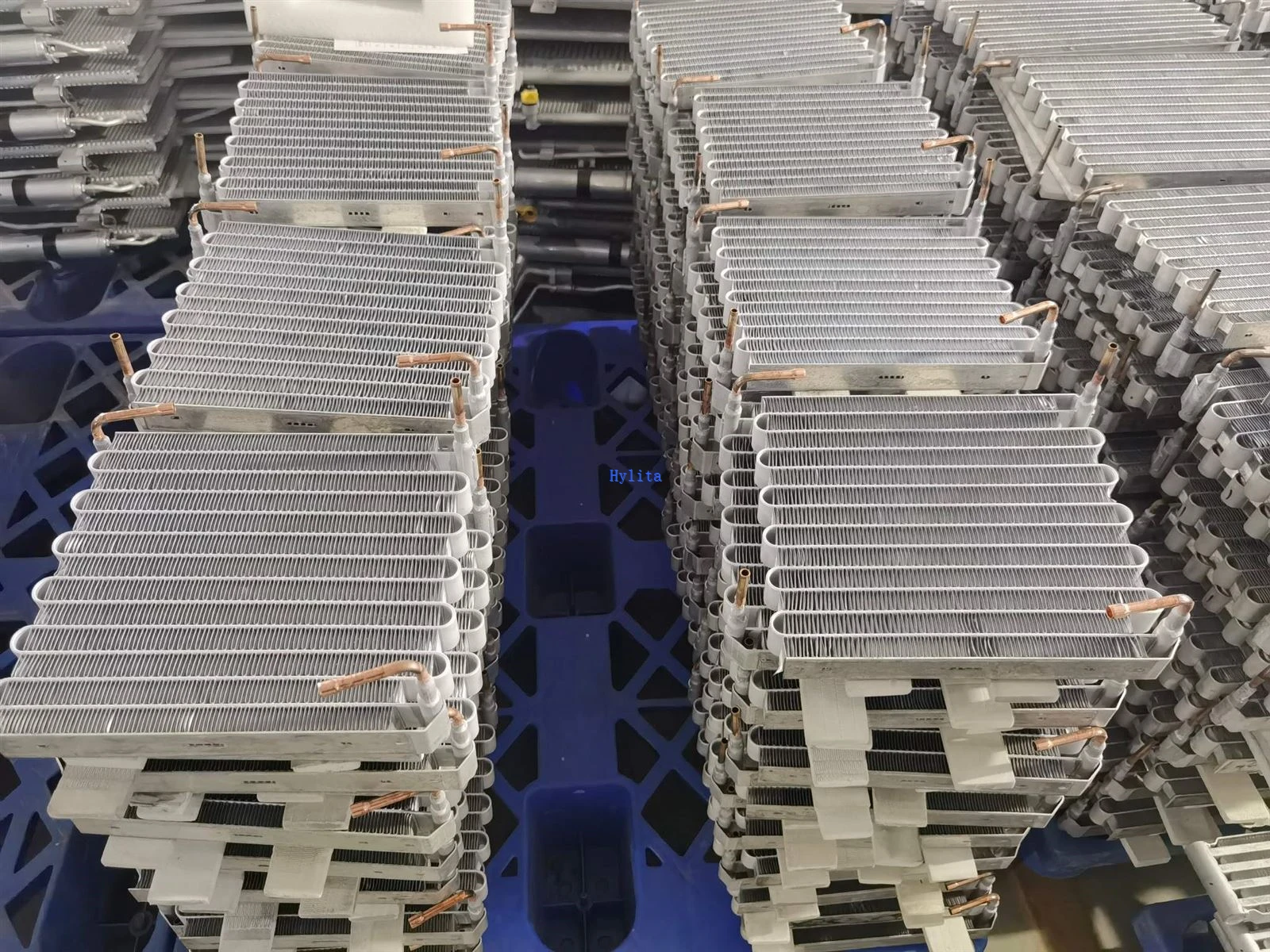 IMG20250909100501