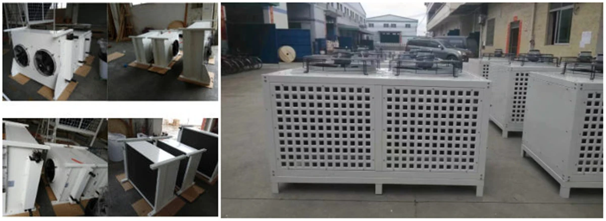 product-1200-437 product-1200-437
